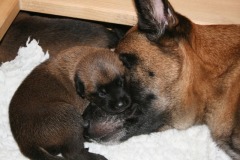 Tatoo und ihr Baby 2 Wochen