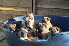 les 9 bébés