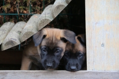 On se cache