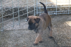 Give Me 5