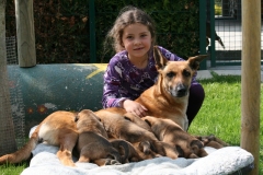 Emmie, Hi-pop et les chiots 3 semaines