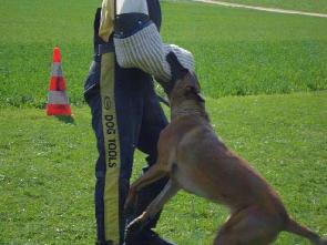 Championnats Romands 2011